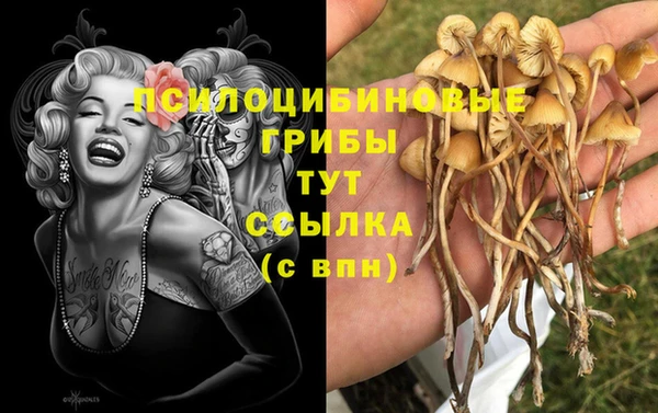 мет Магадан