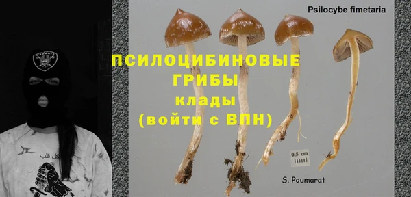 эйфоретик Кодинск