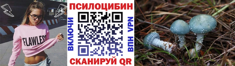 Псилоцибиновые грибы GOLDEN TEACHER  купить наркотики сайты  Мурино 
