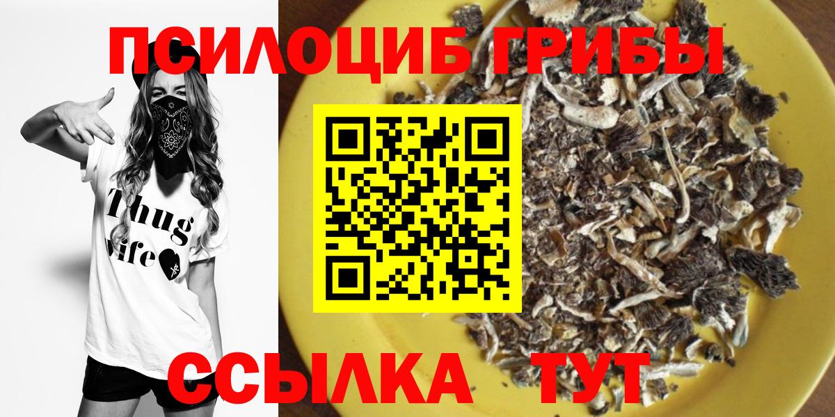 Псилоцибиновые грибы ЛСД Мурино