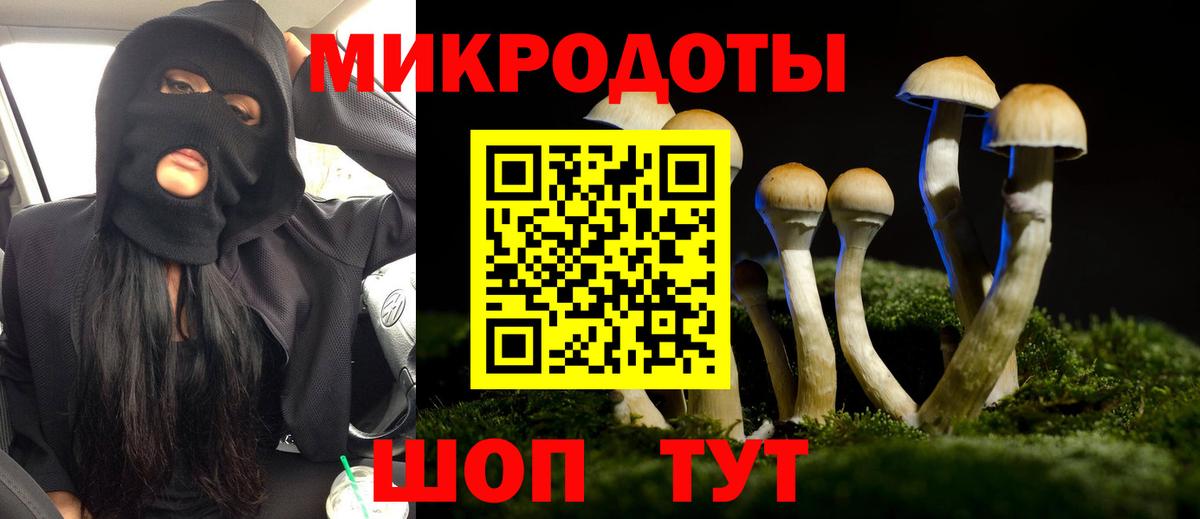 Псилоцибиновые грибы Psilocybine cubensis  Вход с VPN  Мурино 